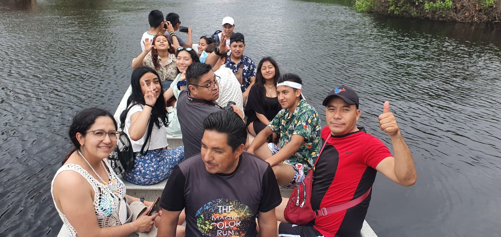 Avistamiento de cocodrilos