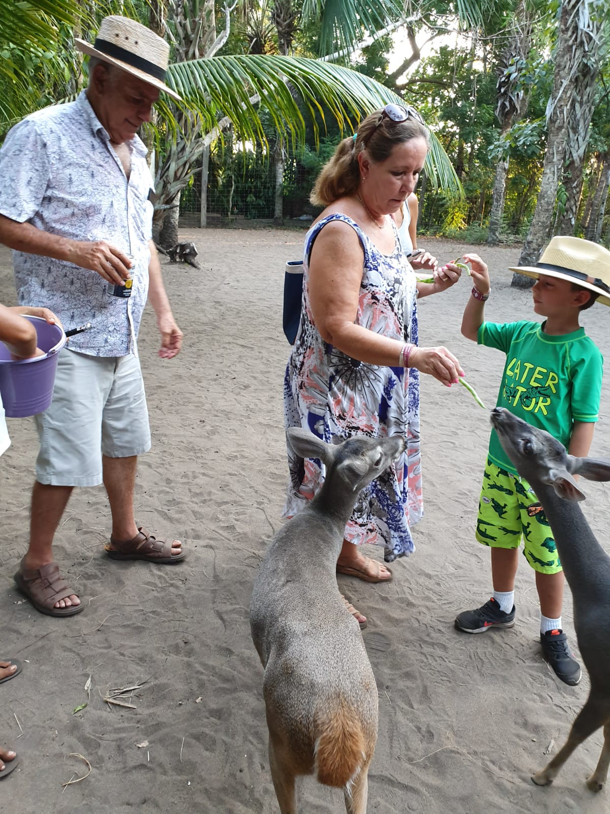 Recorrido por los manglares