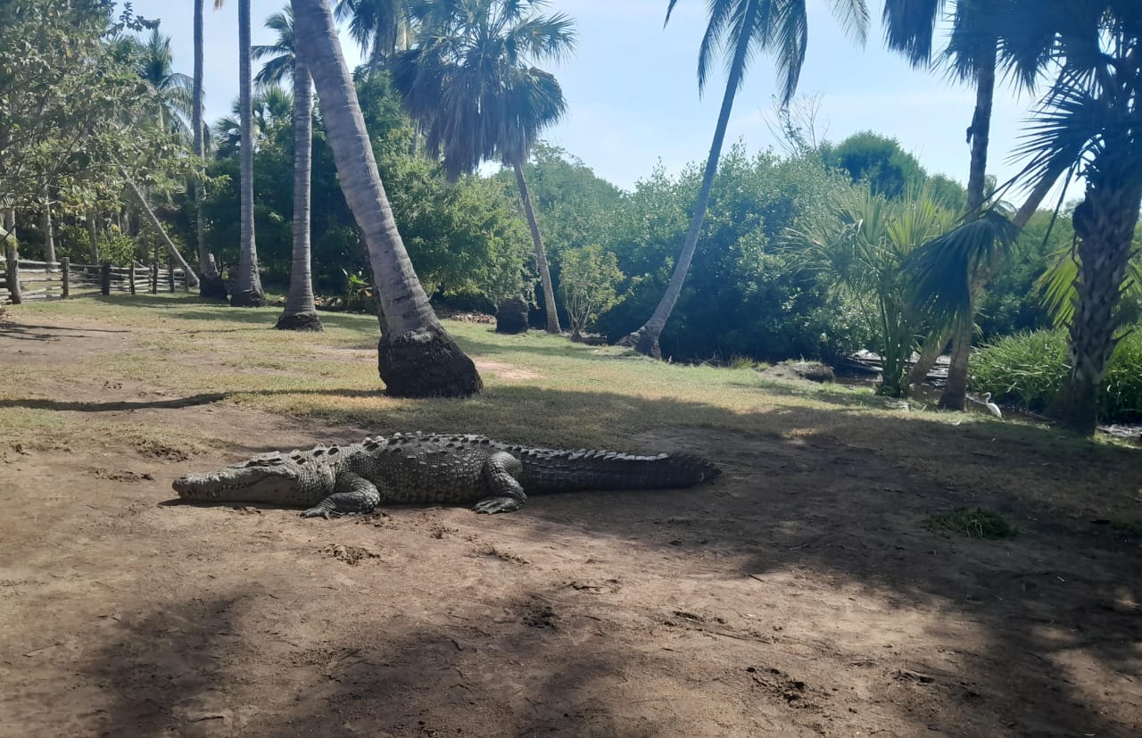 EcoTour en la naturaleza