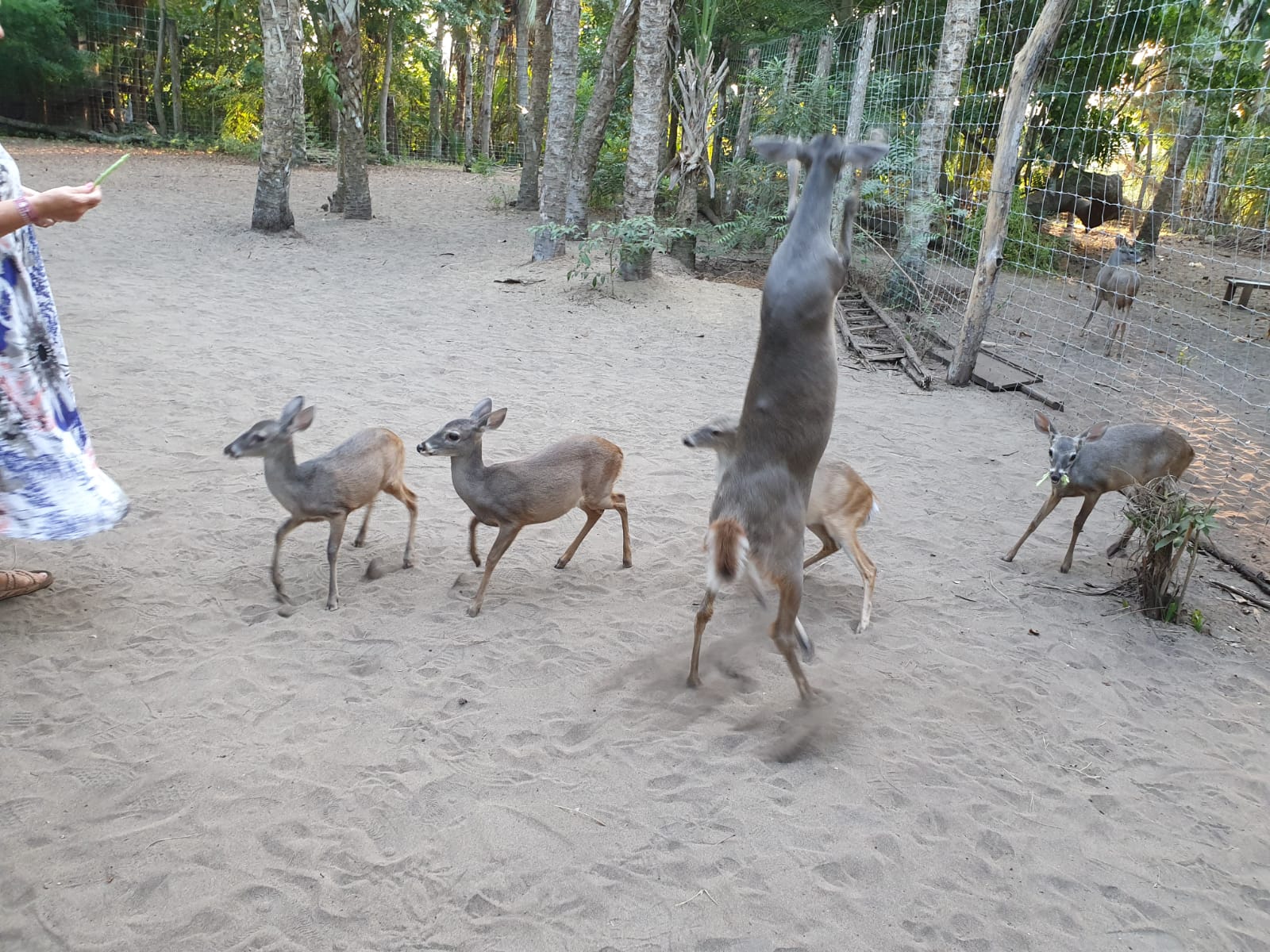 Vista panorámica de la costa