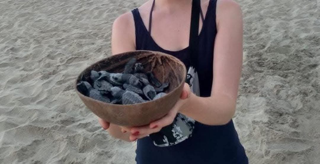 Liberación de tortugas